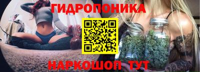 соль курить ск Кингисепп