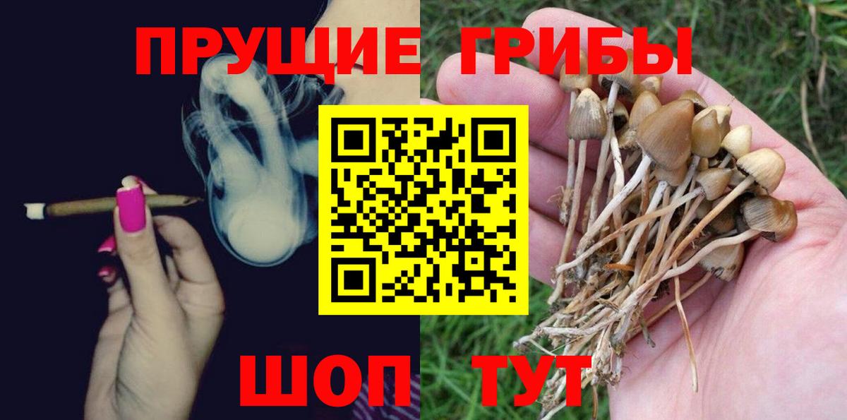 Псилоцибиновые грибы мухоморы  Вход с VPN  Иваново  наркошоп  Галлюциногенные грибы Psilocybine cubensis 